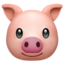 :pig: 🐷