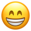 :grin: 😁