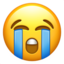:sob: ðŸ˜