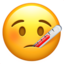 :face_with_thermometer: π€