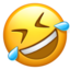 :rolling_on_the_floor_laughing: š¤£