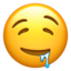 :drooling_face: π€€