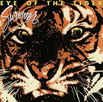 [Eye of the Tiger].jpg