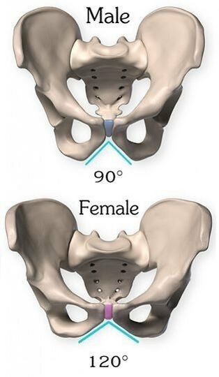 male-female.jpg