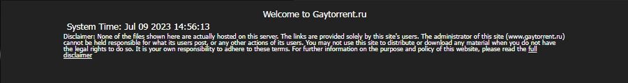 Welcome to Gaytorrent.ru.jpg