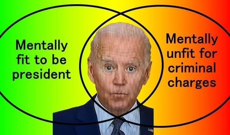 biden-fit-or-unfit-which-is-it.jpg