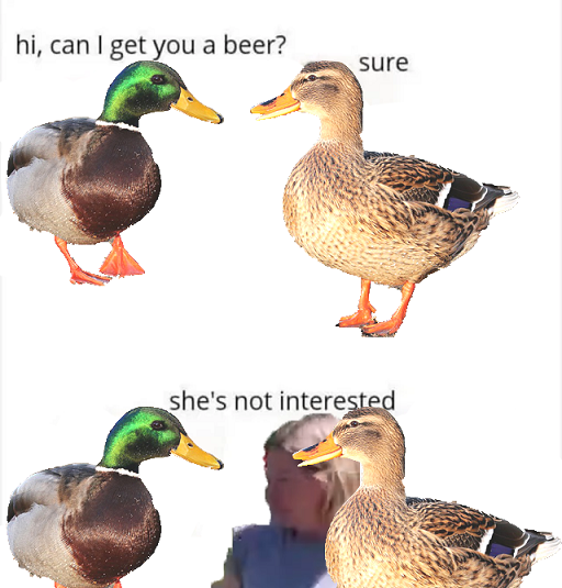 cdfba74b-f9c4-4c4f-b425-1e0248bd6298-image.png