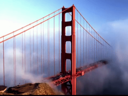 The Golden Gate Bridge.gif