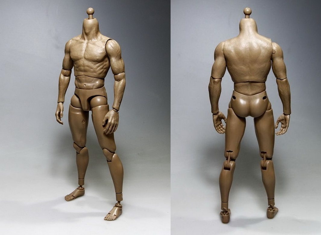 1 to 6 scale 'nude muscular body'.jpg