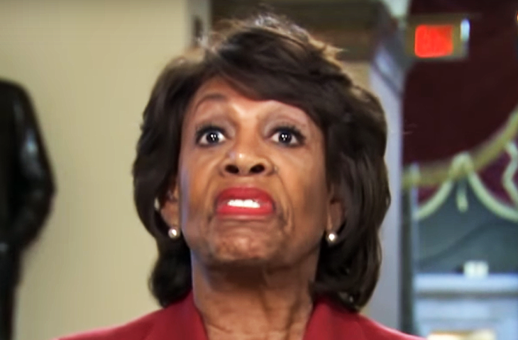 maxine-3.png