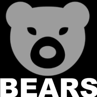 Bears2.jpg