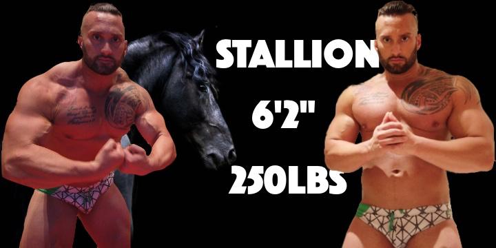 Stallion_page_new_1024x1024.jpg