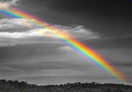 rainbows f.jpg