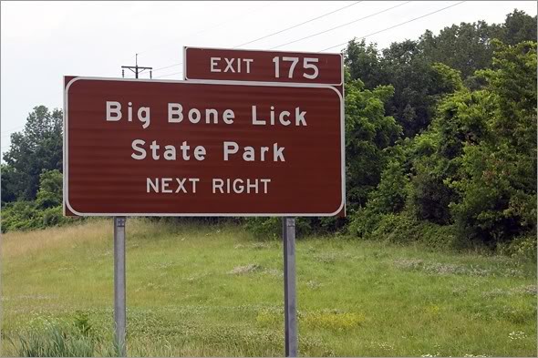 big_bone_lick.jpg