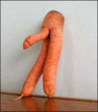 weird_shape_carrot.jpg