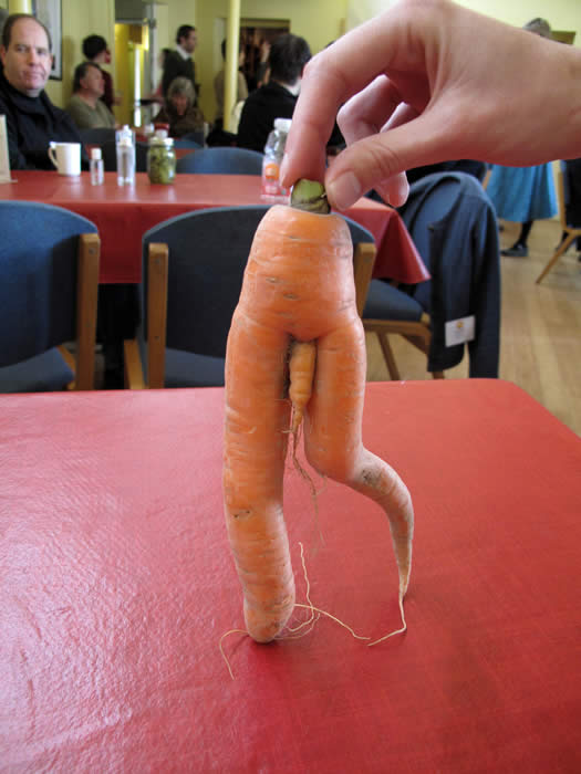 weird_shape_carrot2.jpg