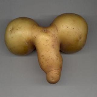 weird_shape_potato2.jpg