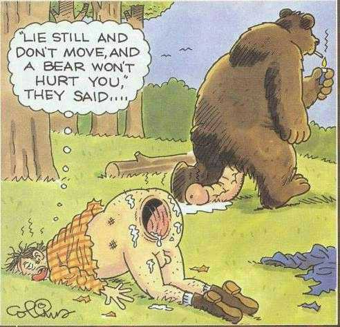 bear cartoon.jpg