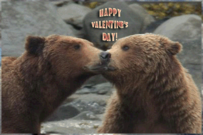 bear kiss valentine.gif
