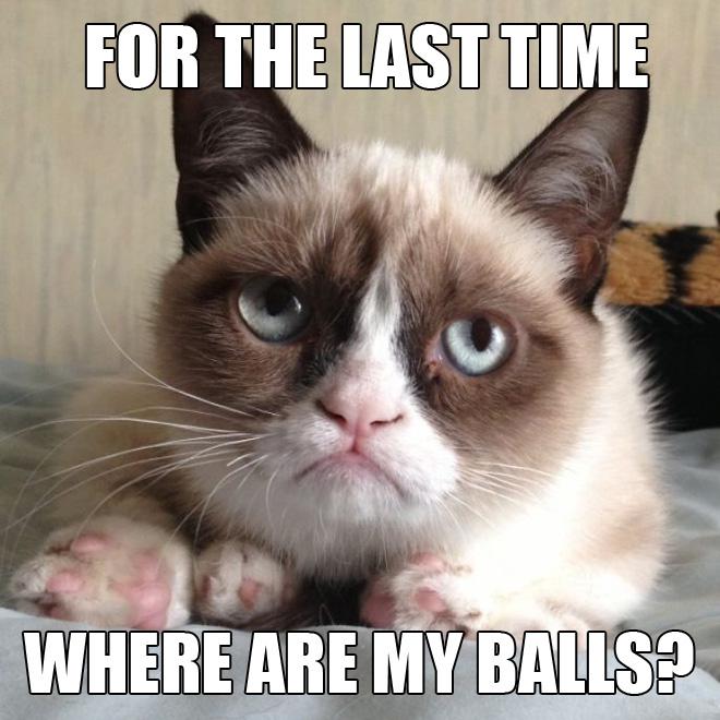 grumpy_cat_missing_balls_zps6f99a110.jpg