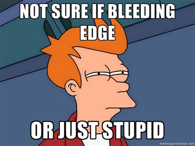bleeding_edge_fry.jpg