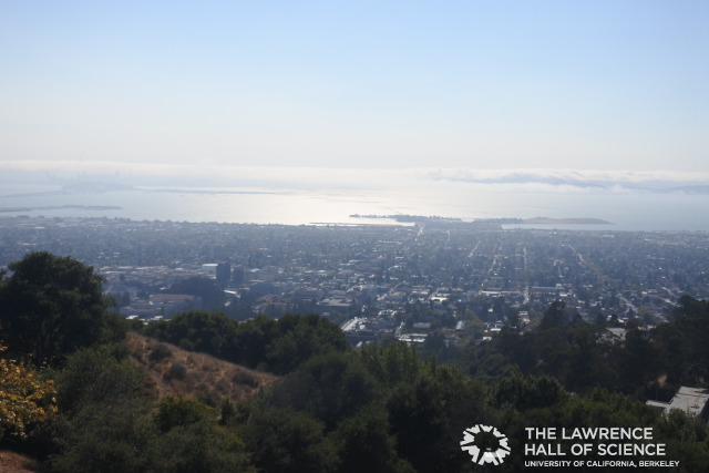 The View From the Lawrence Hall of Science.jpg