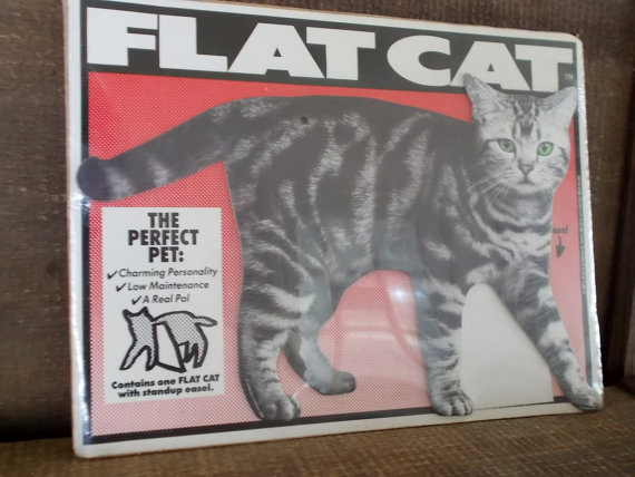Flat Cat.jpg